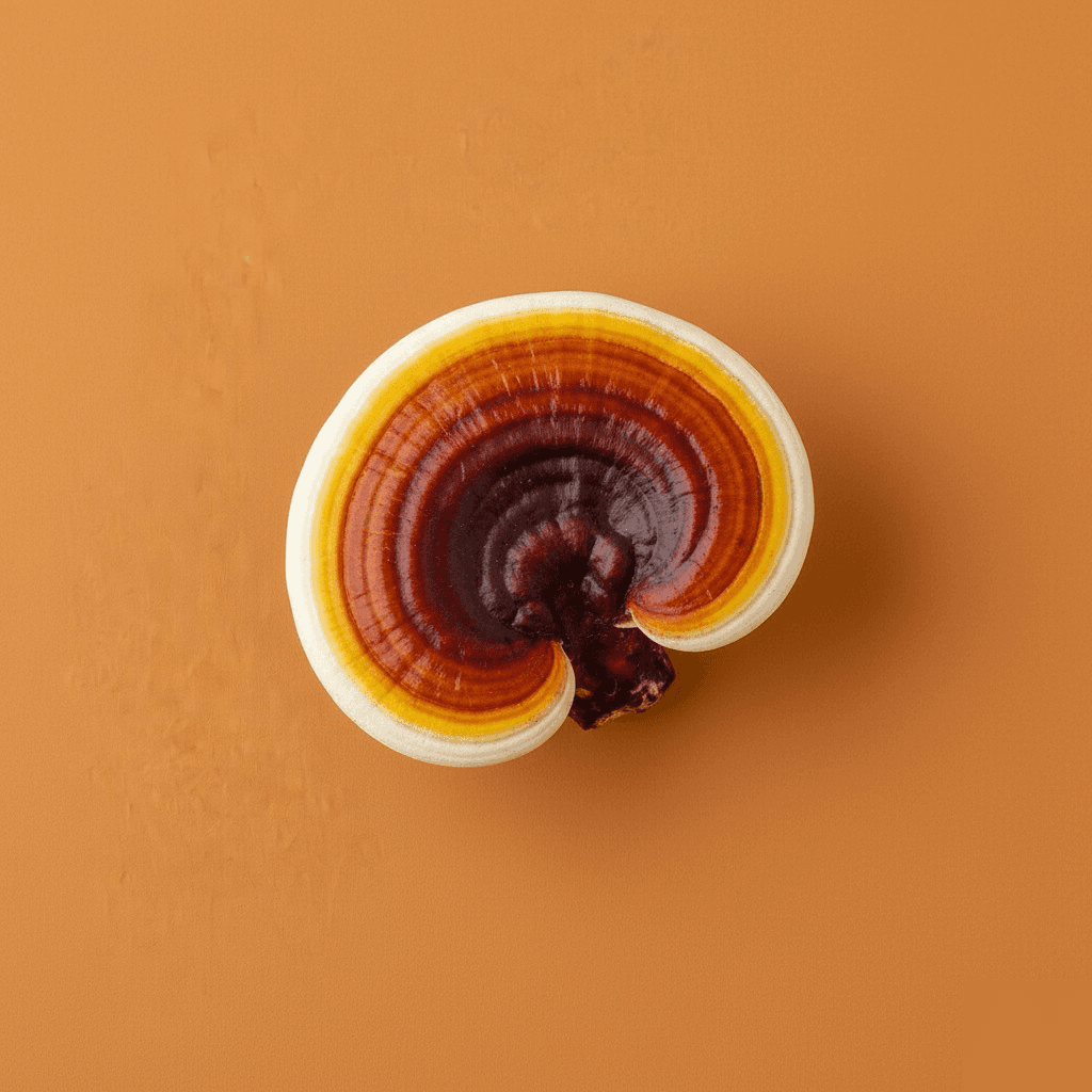 Reishi