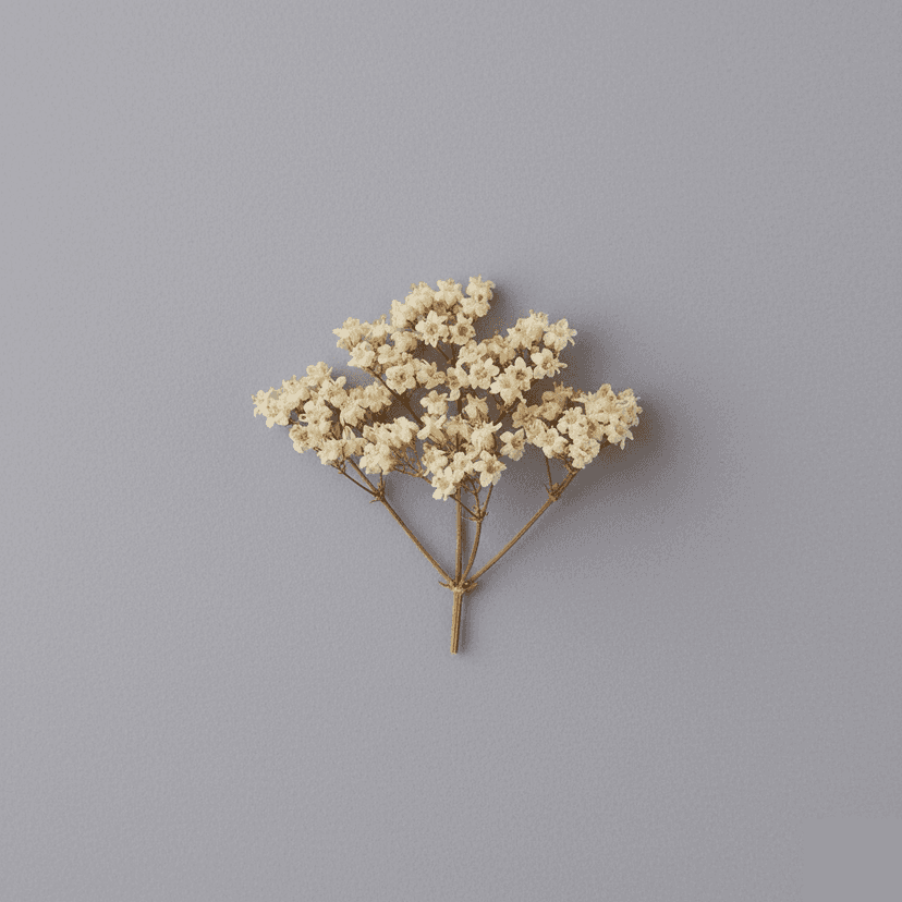 Plantes apaisantes : valériane, camomille, passiflore et aubépine